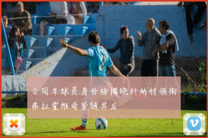 合同年球员身价榜揭晓科纳特领衔弗拉霍维奇紧随其后