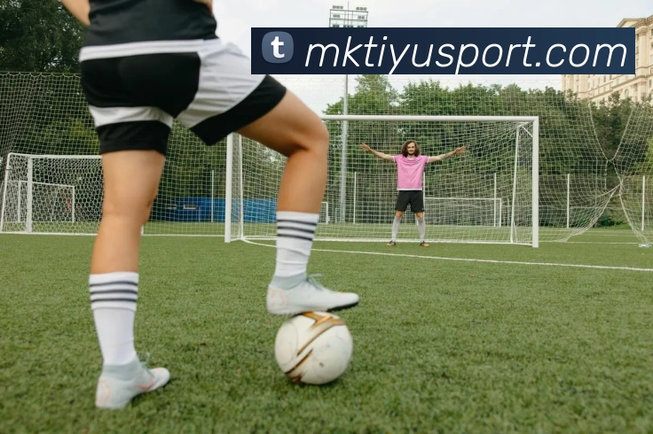 MK体育平台生态图