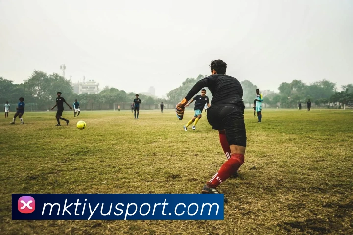 MK体育APP 封面图